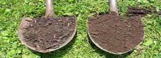 biological characteristics of soils.
