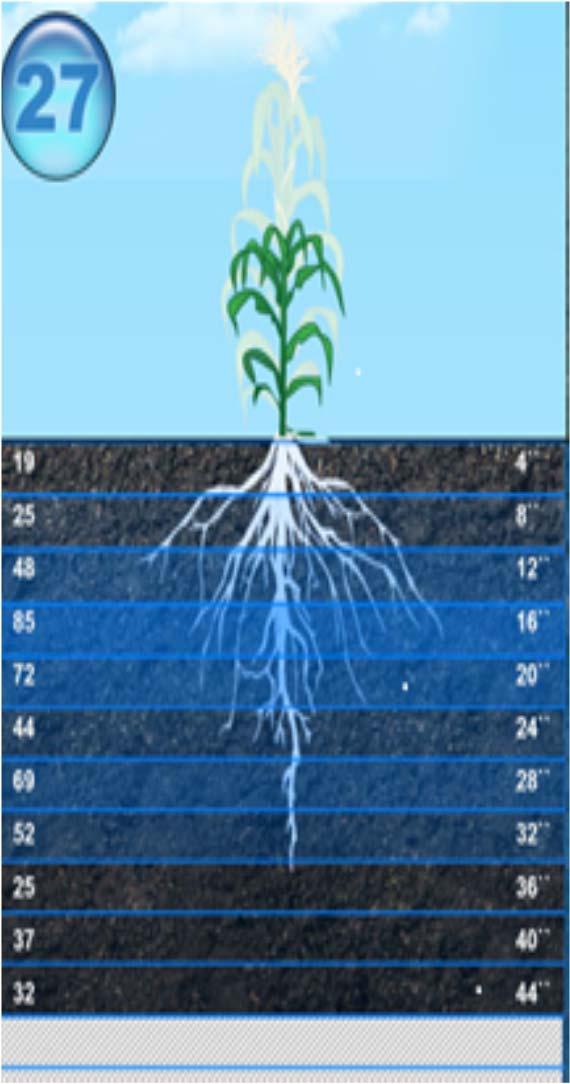 Consistent Sensor Spacing provides: Accurate understanding of active root zone Which depth moisture is being pulled How much more depth