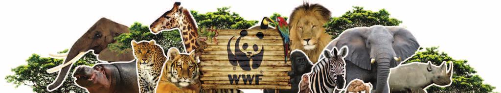 WWF GAMES &