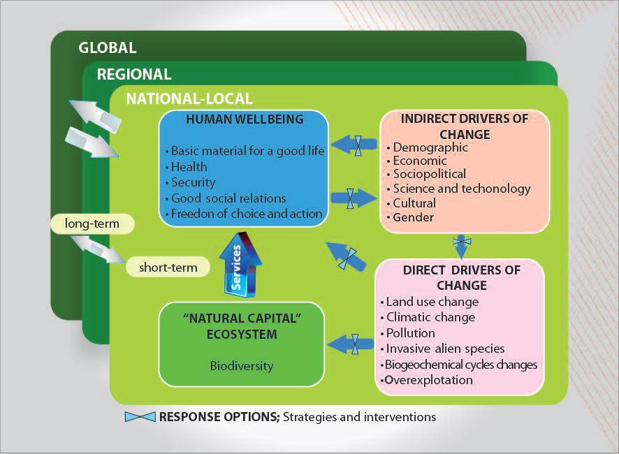 Objectives and Framework SNEA Framework SNEA stands as an instrument for laying the foundation for a new generation of environmental policy in Spain, focusing on the relationships
