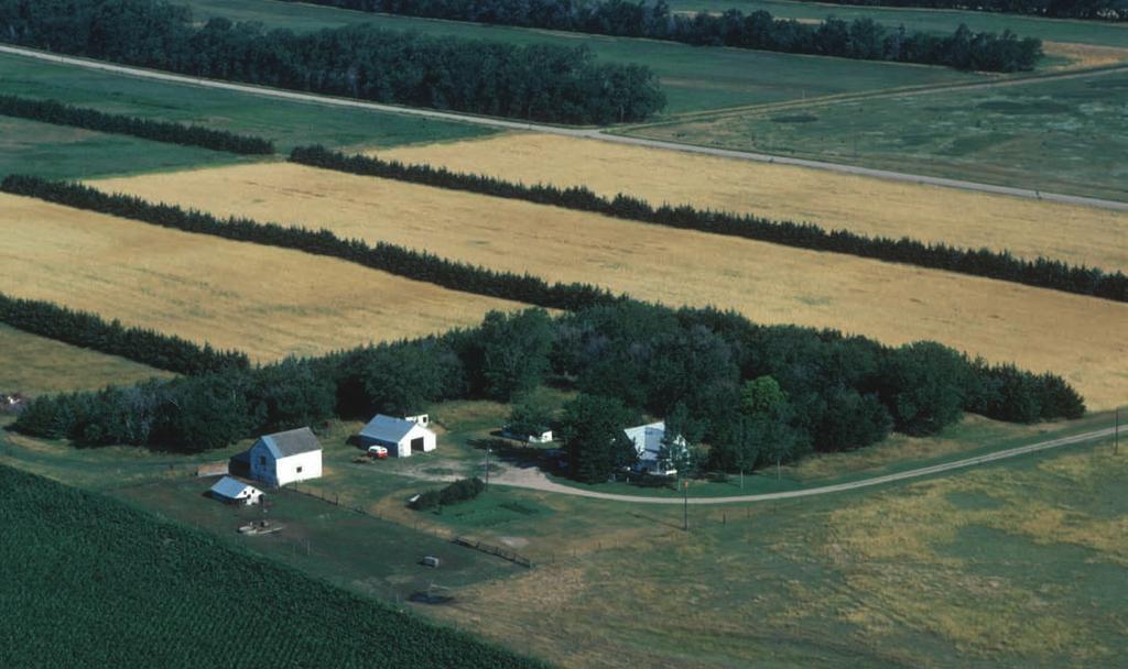 University of Nebraska Lincoln Extension EC1767 Windbreaks For Rural Living By James R.