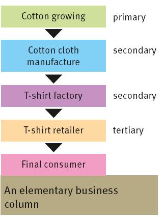 4 The business column Products or services pass through the different sectors in a series of stages before they reach the