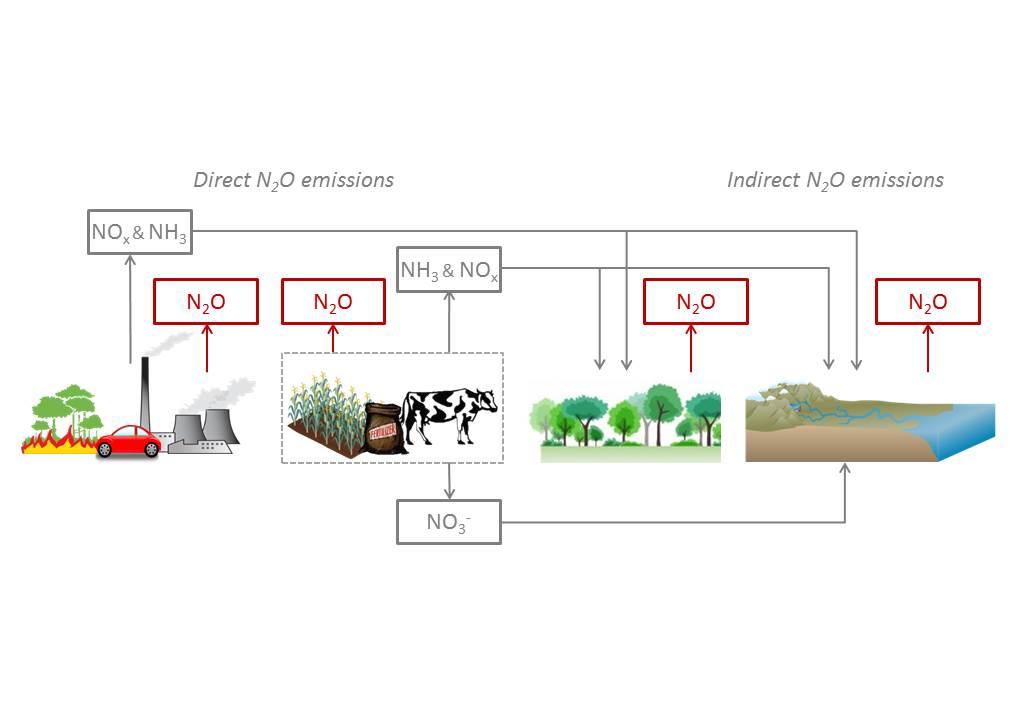 1. Direct and indirect N 2 O emissions 2. N- induced C sequestration in agricultural, terrestrial and marine systems 3.