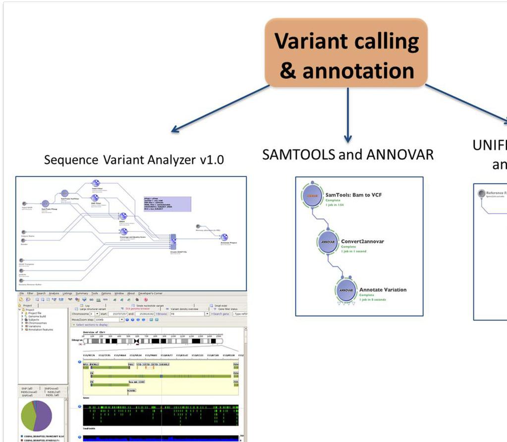 Genes 2012, 3 562 Figure 7. A snapshot of the three independent workflow for variant calling, and annotation workflows available.