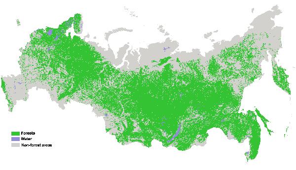 Forestry is a Growth Business in Russia Forest land greater than Brazil and Canada s areas combined c.22% of the world s forests Only c.