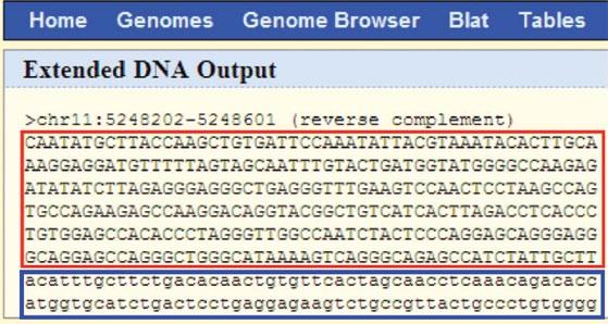 Primer Design C-5. The following screenshot shows the DNA sequence of the proximal promoter region.