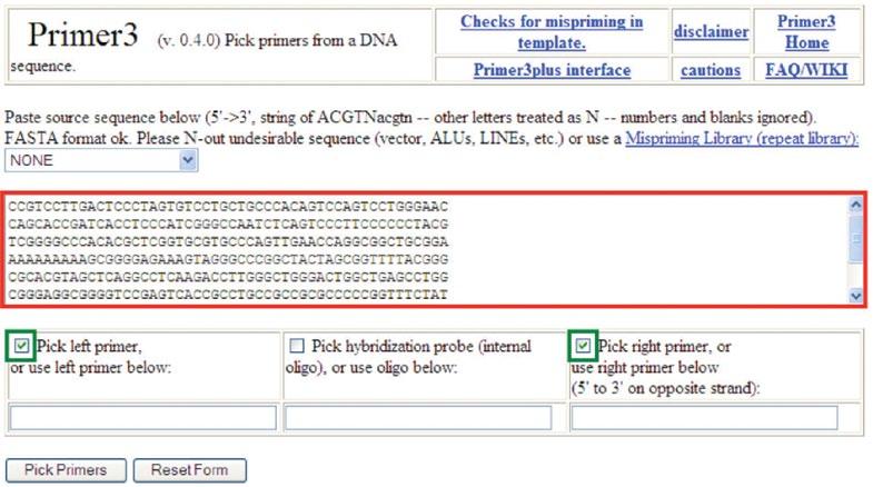 Primer Design D. Designing PCR primers to amplify the promoter Primer3 is a freely accessible primer design tool developed by researchers at MIT.