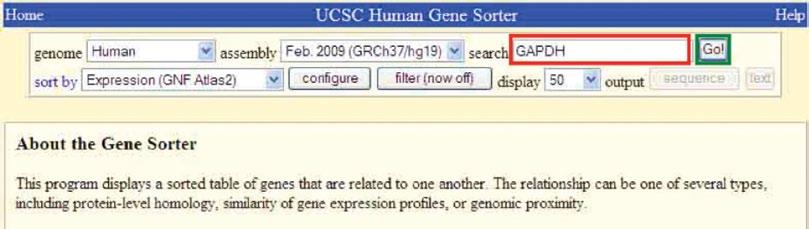 Primer Design (3) Enter the name of the gene you want to analyze in the search box (highlighted in red).