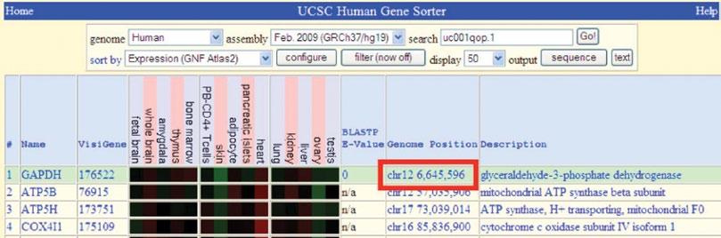 The next screen displays the genome region of the selected gene target.