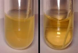 aseptic conditions following the sterilization cycle Microbial growth = any