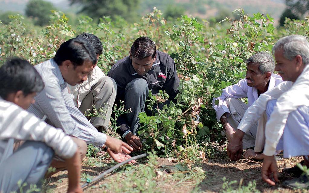The results inspired more and more farmers to join the projects in the two countries, and some 45, joint project farmers in India and Pakistan are now using more sustainable farming practices.