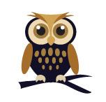 Practice Management Software for the Legal Profession www.wiseowllegal.com.
