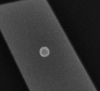 100 nm 4 µm 