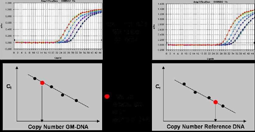 quantification Standard curves with DNA of known concentration Amplification of a plant