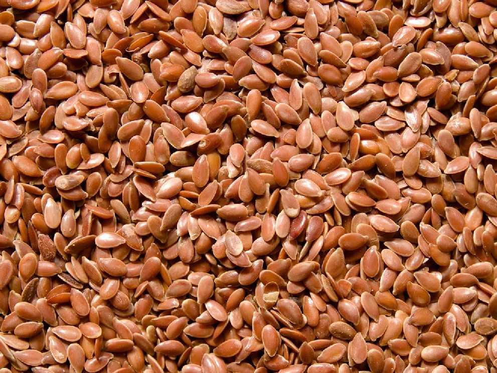 Canadian linseed imports, $ the prices dropped drastically and