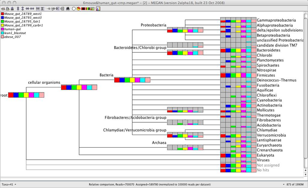 Metagenomic Analysis in Human- Associated Projects