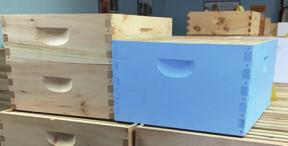 Beginners Beekeeping Kit - Bottom Board, Hive Body, Frames,
