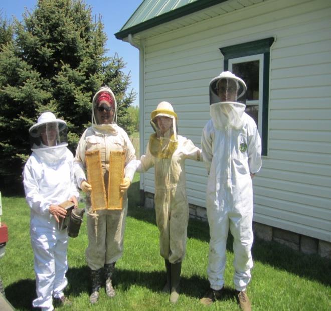 Clothing: Bee Suits/Boots/Gloves Choose loose-fitting, light