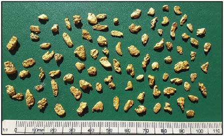 Loudens Patch - Conglomerate Gold >100 gold nuggets detected downslope from shallow dipping to flat lying conglomerate, flattened watermelon seed shaped nuggets with pitted texture Loudens Patch -