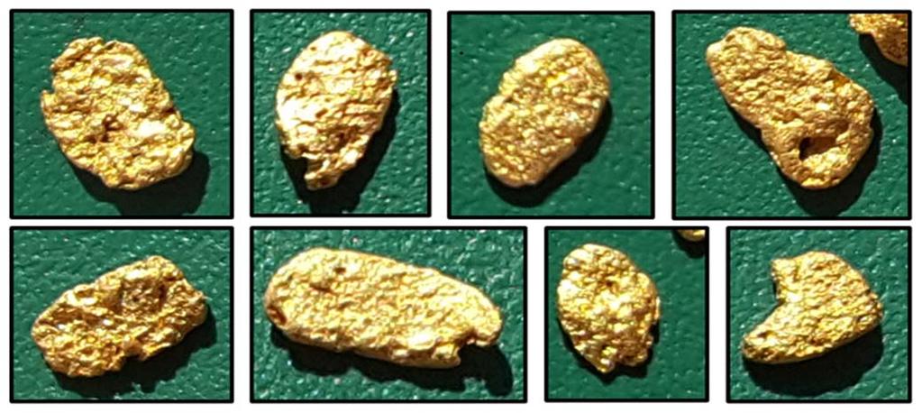 Conglomerate Gold Pilbara Goldrush Potential for multi million ounce and high grade deposits De Grey s Loudens Patch gold nuggets Watermelon seed shaped nuggets De Grey confirms three gold targets