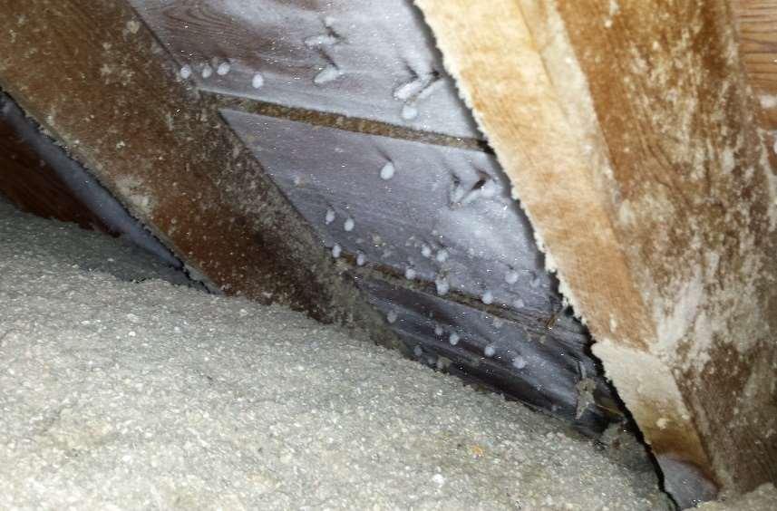 Need For Testing Lots of insulation, poor air sealing details caused ice in attic Good