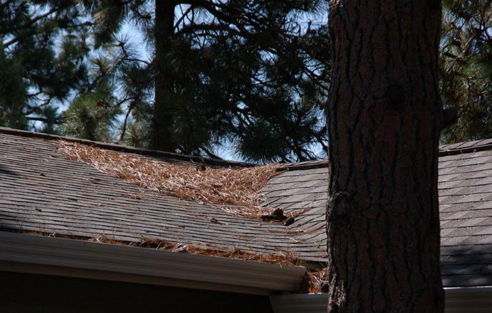 If not properly installed, there can be gaps where the blocking and rafter tails intersect; as a result, wind-blown embers could become lodged here and ignite.