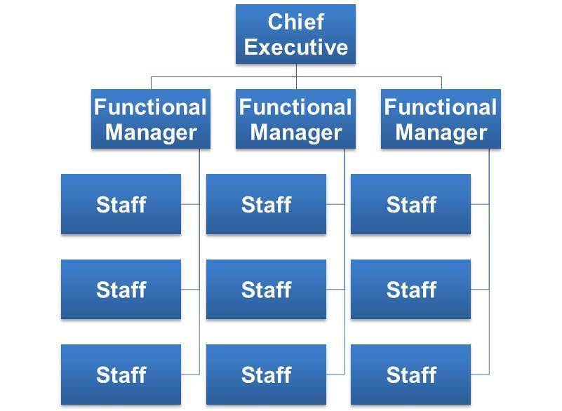 Functional Organizational Structure Functional Organization: a