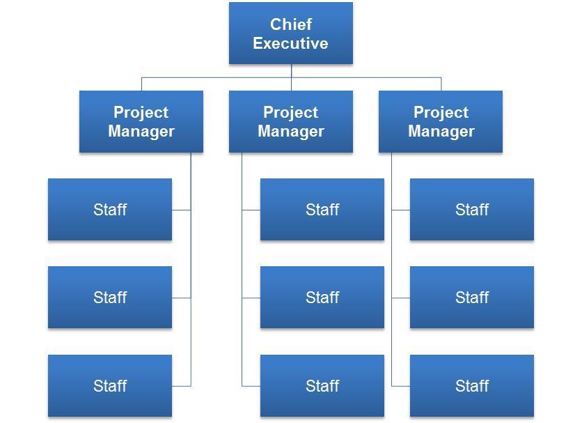 Projectized Organizational Structure Projectized Structure:
