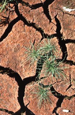 1. Even drier: Global warming could make deserts spread in parts of Africa. Photo: NOAA photo library.
