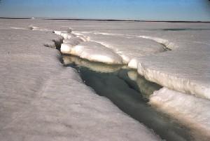 The Polar Regions The natural environment in the polar regions is highly vulnerable to climate change.