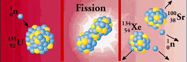 Fission of 235 U after