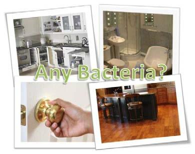 Experiment #1 Question: Where can you find bacteria inside your home? We know that bacteria are present everywhere. However, bacteria are so small that are invisible to our naked eyes.