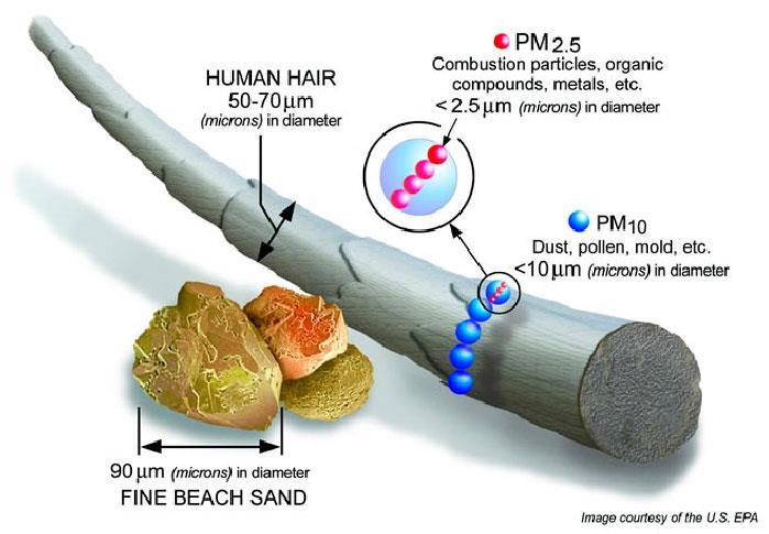 Coal and community health Particle pollution (PM 10, PM 2.5, PM 1 ) is one of the most dangerous pollutants for human health.