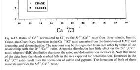 Swart and Kramer (1996) 14 12 Dolomitization /Ca 2+ Sr 2+ 10 8 6 4 2 0 90 100 110 120 130 140 150 Mg 2+/ Cl -