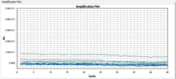 No Amplification Missing a master mix component(repeat the experiment) Sample degradation (Do a
