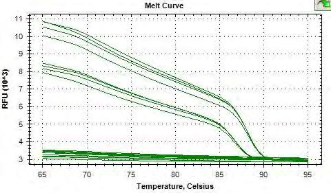 Data Analysis of Output There are many places to start the analysis of your data, but we will start with examining the Melt Curve.