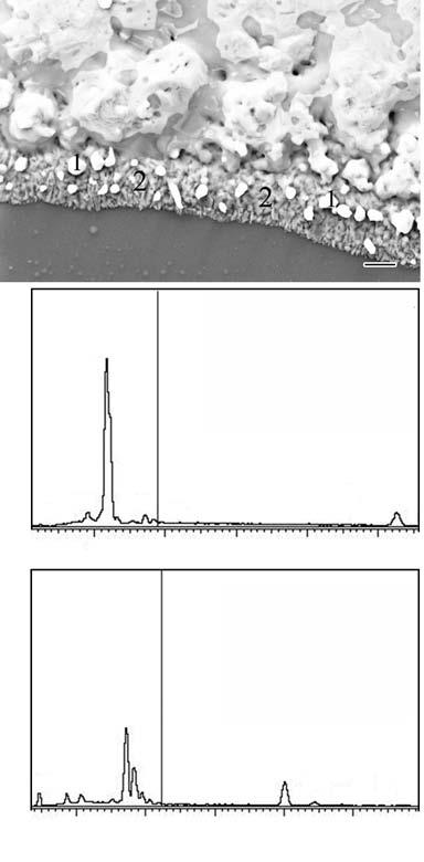tilt of 52 deg.) of the reflowed copper line with a width of 30 µm using the FIB technique completely on the Cu line. Figure 2(c) shows the FIB cross-sectional image (with the tilt of 52 deg.