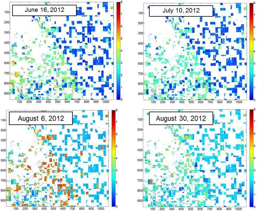 LAI Maps from RADARSAT-2 Manitoba, 2012 LAI estimates for corn and soybeans