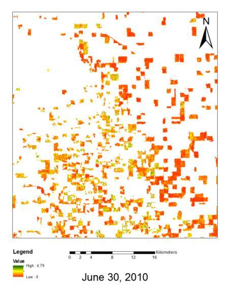 LAI and Biomass Process Crop Map HH, VV, HV SAR Data X-, C-, L-