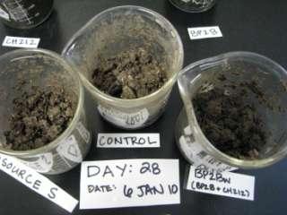Visible changes in manure CRUST