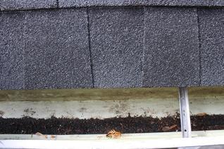 The primary reason for the disparity in views of granule loss being considered as hail damage is due to the lack of clearly evaluating a roof's existing condition prior to the hail event.