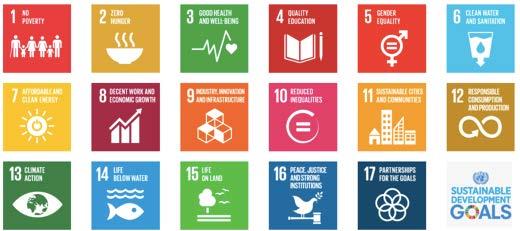 Using the UN Sustainable Development Goals A wholistic assement