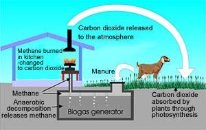 Basic Principles What Is Biogas? Biogas is actually a mixture of gases, usually carbon dioxide and methane. It is produced by a few kinds of microorganisms, usually when air or oxygen is absent.