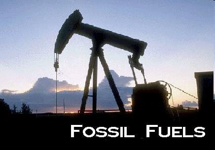 Fossil Fuels Any past living