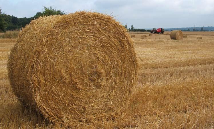 Fast and Efficient Twine and Net Wrapping Great Looking Bales - Time after Time You re sure to leave a fi eld of great looking bales every time you fi nish a