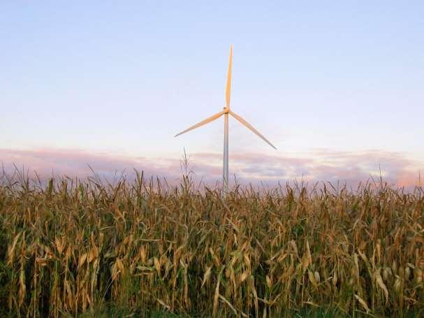 Renewable Fertilizer: An Elegant Idea Wind