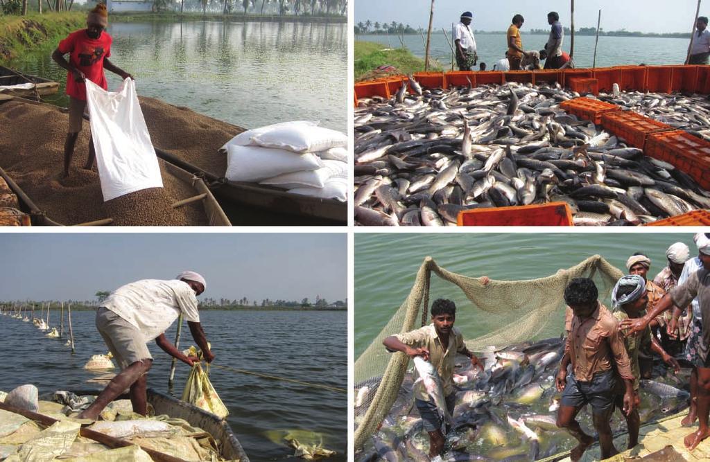 FAO FISHERIES AND AQUACULTURE TECHNICAL PAPER 578 ISSN 2070-7010
