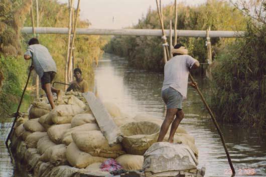 4 percent of Indian major carp farmers used mash feed as their sole feed source. A further 33.