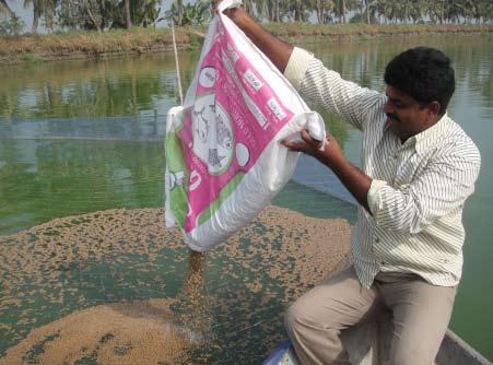 34 Feeding and feed management of Indian major carps in Andhra Pradesh, India PLATE 12 Feeding pelleted feeds Left: in a net enclosure; right: in a pond PLATE 13 Other methods of feeding Left: