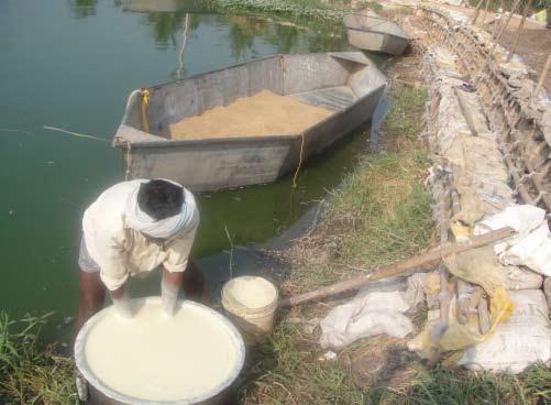 44 Feeding and feed management of Indian major carps in Andhra Pradesh, India PLATE 15 Antibiotic administration Left: antibiotic mixed in a starch solution; right: antibiotic solution being added to